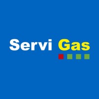 YPF - Servi Gas logo - Similar company to Blau Compresión Y Tratamiento De Gas