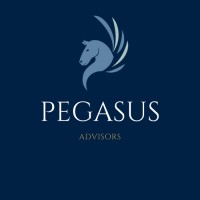 Pegasus Business Solutions logo - Similar company to Mpower Solutions
