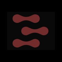 Ledataminer logo - Similar company to Salesforce Women In Tech, São Paulo