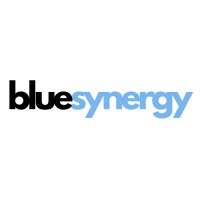 blue synergy logo - Similar company to Blusynergy