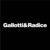 Gallotti&Radice logo - Similar company to Delta Interior Design Srl