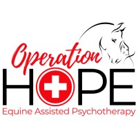 Operation Hope Equine Therapy logo - Similar company to Mindful Billing Solutions