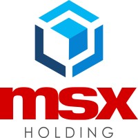 MSX Holding Group, LLC logo - Similar company to Sunalei