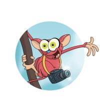 Nártoun Olin S.R.O.