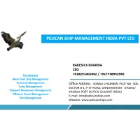 PELICAN SHIP MANAGEMENT INDIA PVT LTD logo - Similar company to Hanu Ship Management Pvt. Ltd.
