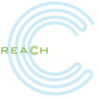 REACH Program at Mount Sinai logo - Similar company to Leadership Everyone