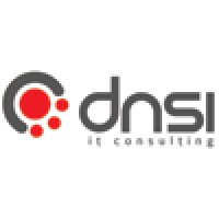 Dnsi - It Consulting, Sa