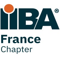 IIBA France Chapter logo - Similar company to Revotask