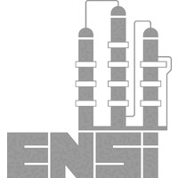 Empresa Neuquina de Servicios de Ingeniería logo - Similar company to Matra Srl
