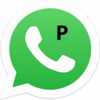 Perito Whatsapp logo - Similar company to Abogado Best