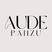 Aude Panzu logo - Similar company to E-Media Digital