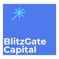Blitzgate Capital logo - Similar company to Zero Capital Fund
