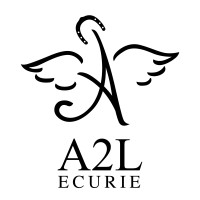 ECURIE A2L logo - Similar company to Solutions Travaux