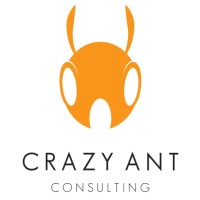 Crazy Ant Consulting logo - Similar company to Africa Sky Runners