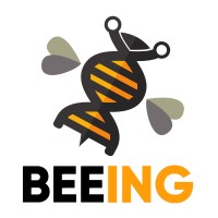 Beeing logo - Similar company to Andesvolt