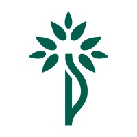Orthopaedics Queensland logo - Similar company to Healthtech Innovation Qld