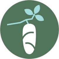 Pille | پیله logo - Similar company to Hadaf; Legaltech And Legaldesign Studio