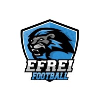 EFREI Football logo - Similar company to Fap Efrei