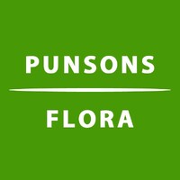 Punsons Flora - India