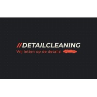 DetailCleaning logo - Similar company to Nsvv