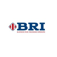 BRI BROKERS SA logo - Similar company to Dapser Sa