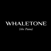 Whaletone Ltd logo - Similar company to Balance Creative Studio