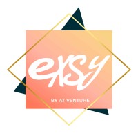 EXSY logo - Similar company to Quantifai Group
