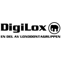 DigiLox logo - Similar company to Mire Konsult
