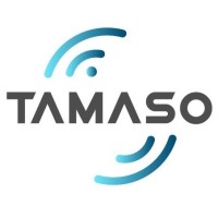 Tamaso Consultoria logo - Similar company to Fadas Digitais