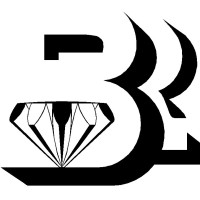 Berelian Tajhiz logo - Similar company to Karafarin Brokerage