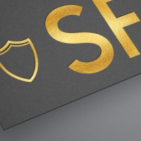 SunForest Software Company　日森ソフト logo - Similar company to Midmovil