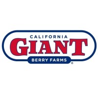 California Giant Berry Farms logo - Similar company to Driscoll'S