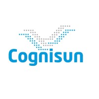 Cognisun Inc. logo - Similar company to Equator Techsolutions Pvt. Ltd.