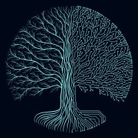 Visdomur logo - Similar company to Forma Labs