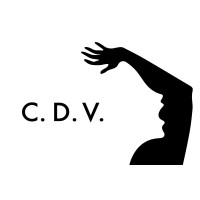 Confronting Domestic Violence, Inc logo - Similar company to Busy