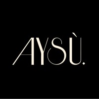 Aysú Concept logo - Similar company to Creatorbloc
