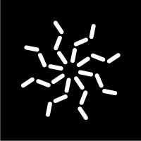 SilverWarp logo - Similar company to Touchlight