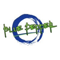 Blue Pepper logo - Similar company to Dhishaai Complete Analytics