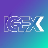 IGEX logo - Similar company to Friendstudio