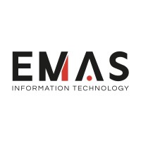 Emas Servicios Informáticos logo - Similar company to Omega Peripherals
