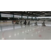 Top Goaltending Ltd. logo - Similar company to Biggabed