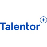 Talentor Lietuva logo - Similar company to Visionm Gmbh - Part Of Talentor