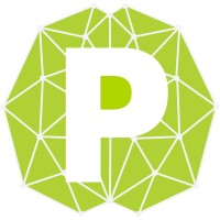 P-Brain Media