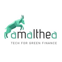 Amalthea FS logo - Similar company to Domos Fs