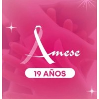 Asociación AMESE - Apoyo a mujeres con enfermedades del seno logo - Similar company to Abetelnet Solutions