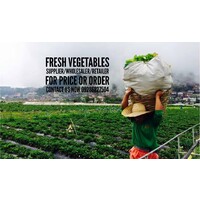 Mega Q Mart Fresh Vegetables and Fruits Distribution logo - Similar company to Picaler