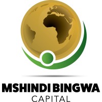 MSHINDI BINGWA CAPITAL logo - Similar company to Macro Traders
