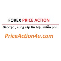 Price Action logo - Similar company to Learn Price Action
