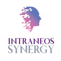 INTRANEOS SYNERGY logo - Similar company to Simplicit
