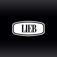 LIEB Internacional SA de CV logo - Similar company to Aura